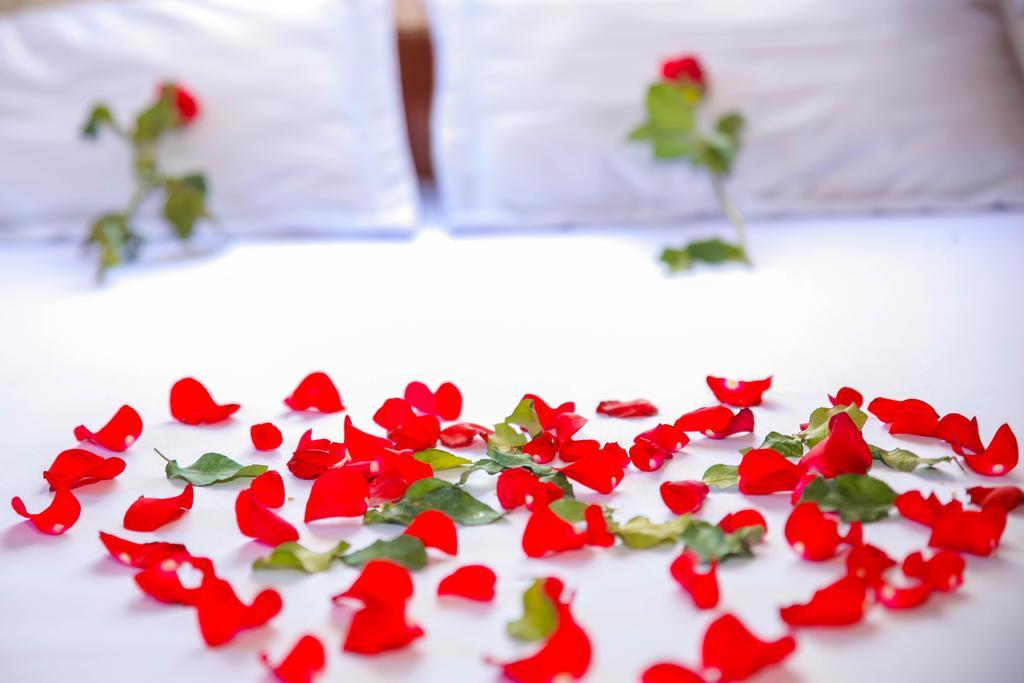 Thanh Linh Hotel Quy Nhơn Phòng bức ảnh